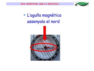 ENS ORIENTEM AMB LA BRÚIXOLA L’agulla magnètica assenyala el nord 