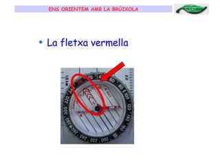 ENS ORIENTEM AMB LA BRÚIXOLA La fletxa vermella 