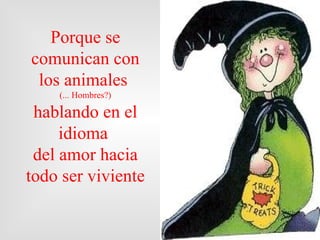 Porque se
comunican con
 los animales
    (... Hombres?)

 hablando en el
     idioma
 del amor hacia
todo ser viviente
 