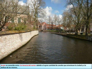 Brujas es conocida como «la Venecia del norte» debido a la gran cantidad de canales que atraviesan la ciudad y a la
belleza de los mismos.
 