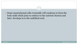 BRUK PLACENTA development AND Amniotic fluid metabolism.ppt