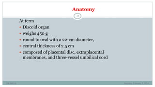 BRUK PLACENTA development AND Amniotic fluid metabolism.ppt