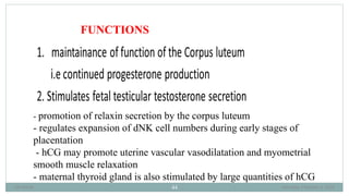 BRUK PLACENTA development AND Amniotic fluid metabolism.ppt