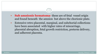 BRUK PLACENTA development AND Amniotic fluid metabolism.ppt
