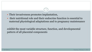 BRUK PLACENTA development AND Amniotic fluid metabolism.ppt