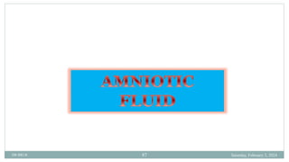 BRUK PLACENTA development AND Amniotic fluid metabolism.ppt