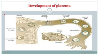 BRUK PLACENTA development AND Amniotic fluid metabolism.ppt