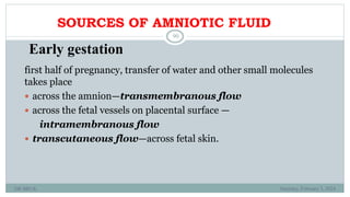 BRUK PLACENTA development AND Amniotic fluid metabolism.ppt