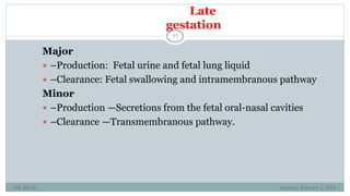 BRUK PLACENTA development AND Amniotic fluid metabolism.ppt