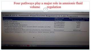 BRUK PLACENTA development AND Amniotic fluid metabolism.ppt