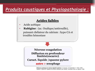 Produits caustiques et Physiopathologie :
Acides forts 17%
•
•

Acides faibles
pH < 1

Acide acétique
Rubigine : (ac. Oxalique/antirouille),
Acide chlorhydrique calcium : hypo
puissant chélateur du (esprit de sel) 5% CA et
Acide sulfurique (acide de batteries) 5%
troubles hémostase
Acide fluorhydrique (antirouille)
Acide nitrique, Acide phosphorique

Nécrose coagulation
Diffusion en profondeur
limitée(escarre)
Caract. liquide /spasme pylore
antre > œsophage
Brûlures caustiques du tractus digestif supérieur: A. Azouaou- B. Boukhatem- F. Tahar 2009
Sarfati E, Celerier M. Ingestion de produit caustique chez l'adulte. Conduites à tenir en urgence, 1990.

 
