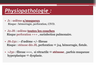 Physiopathologie :
Physiopathologie : 4 phases
• J1 : œdème s/muqueux
Risque : hémorragie, perforation, CIVD.

• J2-J8 : œdème toutes les couches
Risque perforation +++ , surinfection pulmonaire.
• J8-J30 : - d’œdème +/- fibrose
Risque : sténose dés J8, perforation  j14, hémorragie, fistule.

• >J30 : fibrose +++, si rétractile  sténose , parfois muqueuse
hyperplasique  dysplasie.

 