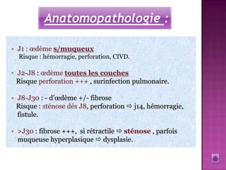 Anatomopathologie :

• J1 : œdème s/muqueux
  Risque : hémorragie, perforation, CIVD.

• J2-J8 : œdème toutes les couches
  Risque perforation +++ , surinfection pulmonaire.

• J8-J30 : - d’œdème +/- fibrose
  Risque : sténose dés J8, perforation  j14, hémorragie,
  fistule.

• >J30 : fibrose +++, si rétractile  sténose , parfois
  muqueuse hyperplasique  dysplasie.
 