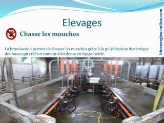 Elevages
Chasse les mouches
La brumisation permet de chasser les mouches grâce à la pulvérisation dynamique
des buses qui créé un courant d’air dense en hygrométrie.
 