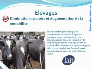 Diminution du stress et Augmentation de la
rentabilité
Elevages
Les recherches prouvent que les
températures excessives chaque été
provoque un stress thermique, nous
constatons une baisse de l’ingestion de
matière sèche (entre 10 et 25% de MS en
moins), elles commencent à perdre du poids
et la production laitière descend, nous
constatons une baisse de 5 à 6 litres par
vache.
 