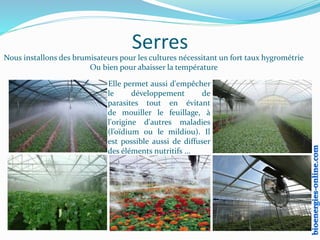 Serres
Nous installons des brumisateurs pour les cultures nécessitant un fort taux hygrométrie
Ou bien pour abaisser la température
Elle permet aussi d'empêcher
le développement de
parasites tout en évitant
de mouiller le feuillage, à
l'origine d'autres maladies
(l’oïdium ou le mildiou). Il
est possible aussi de diffuser
des éléments nutritifs ...
 