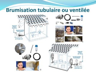 Brumisation tubulaire ou ventilée
 