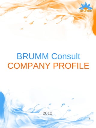 BRUMM Consult COMPANY PROFILE 2010 