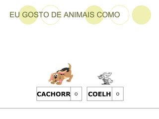 EU GOSTO DE ANIMAIS COMO COELH O CACHORR O 