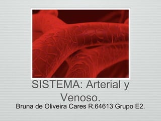 SISTEMA: Arterial y
Venoso.
Bruna de Oliveira Cares R.64613 Grupo E2.
 
