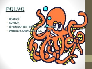 POLVO
•   HABITAT
•   COMIDA
•   DIFERENÇA ENTTRE MACHO E FEMEA?
•   PRINCIPAL CARACTERÍSTICA
 