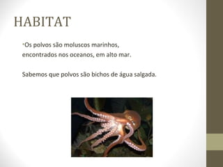 HABITAT
 •Os polvos são moluscos marinhos,
 encontrados nos oceanos, em alto mar.

 Sabemos que polvos são bichos de água salgada.
 