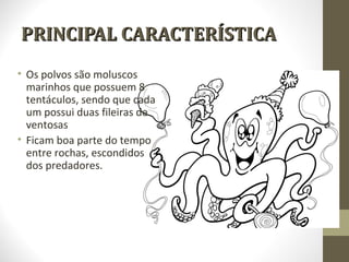 PRINCIPAL CARACTERÍSTICA
• Os polvos são moluscos
  marinhos que possuem 8
  tentáculos, sendo que cada
  um possui duas fileiras de
  ventosas
• Ficam boa parte do tempo
  entre rochas, escondidos
  dos predadores.
 