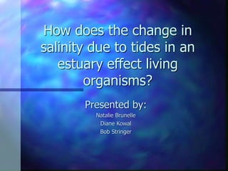 How does the change in
salinity due to tides in an
estuary effect living
organisms?
Presented by:
Natalie Brunelle
Diane Kowal
Bob Stringer
 
