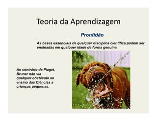 Teoria	
  da	
  Aprendizagem	
  

            As bases essenciais de qualquer disciplina científica podem ser
            ensinadas em qualquer idade de forma genuína.




Ao contrário de Piaget,
Bruner não via
qualquer obstáculo ao
ensino das Ciências a
crianças pequenas.
 