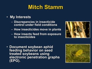 Mitch Insect February Who's Who | PPTX