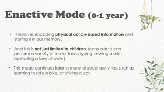 Comprehensive Overview of Bruner’s Theory of Cognitive Development in ...