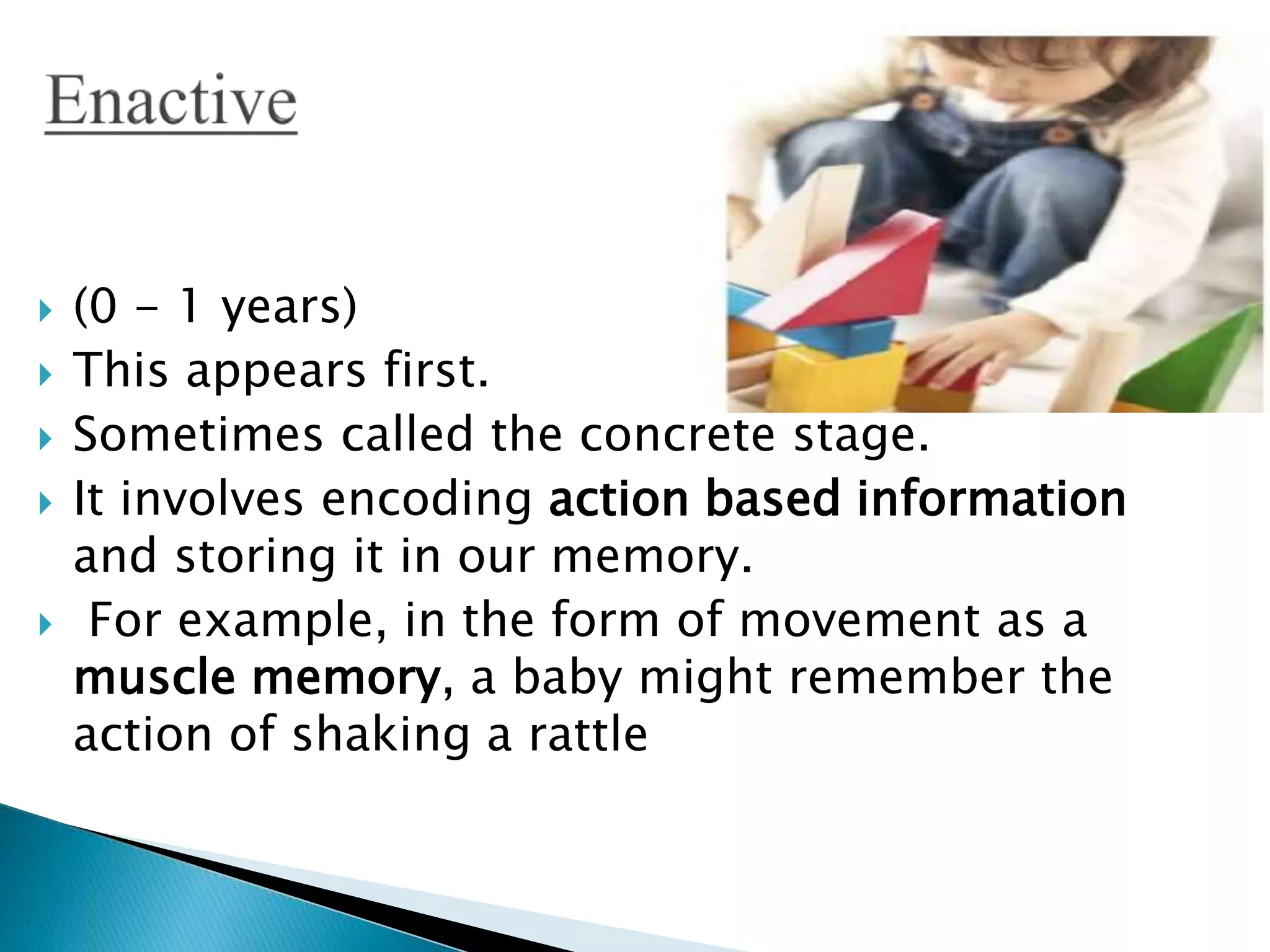  (0 - 1 years)
 This appears first.
 Sometimes called the concrete stage.
 It involves encoding action based information
and storing it in our memory.
 For example, in the form of movement as a
muscle memory, a baby might remember the
action of shaking a rattle
 