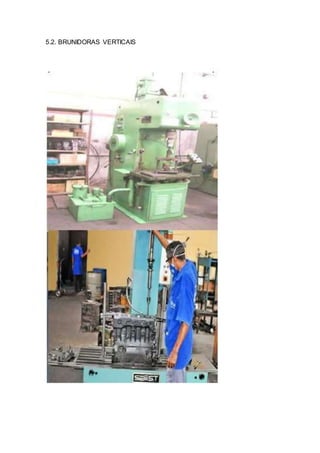 5.2. BRUNIDORAS VERTICAIS
 