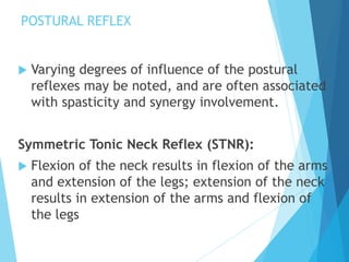 POSTURAL REFLEX
 Varying degrees of influence of the postural
reflexes may be noted, and are often associated
with spasticity and synergy involvement.
Symmetric Tonic Neck Reflex (STNR):
 Flexion of the neck results in flexion of the arms
and extension of the legs; extension of the neck
results in extension of the arms and flexion of
the legs
 