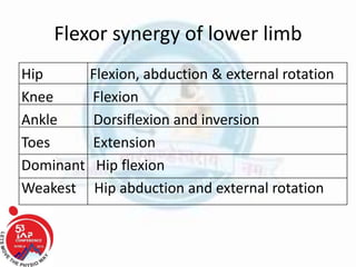 Flexor synergy of lower limb
Hip Flexion, abduction & external rotation
Knee Flexion
Ankle Dorsiflexion and inversion
Toes Extension
Dominant Hip flexion
Weakest Hip abduction and external rotation
 