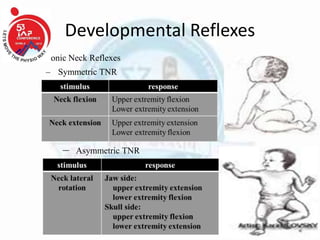 Developmental Reflexes
• Tonic Neck Reflexes
– Symmetric TNR
– Asymmetric TNR
 