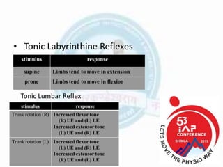 • Tonic Labyrinthine Reflexes
Tonic Lumbar Reflex
 