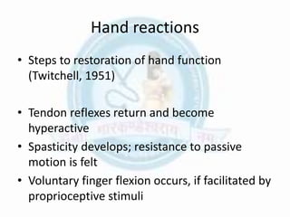 Hand reactions
• Steps to restoration of hand function
(Twitchell, 1951)
• Tendon reflexes return and become
hyperactive
• Spasticity develops; resistance to passive
motion is felt
• Voluntary finger flexion occurs, if facilitated by
proprioceptive stimuli
 
