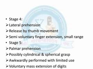 • Stage 4:
Lateral prehension
Release by thumb movement
Semi voluntary finger extension, small range
• Stage 5:
Palmar prehension
Possibly cylindrical & spherical grasp
Awkwardly performed with limited use
Voluntary mass extension of digits
 