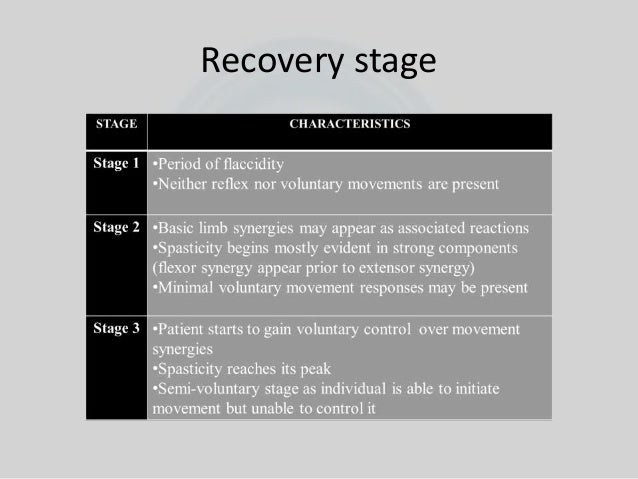 Brunnstrom Stages Of Recovery Chart Pdf