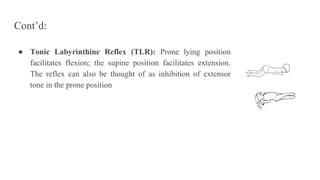 ● Tonic Labyrinthine Reflex (TLR): Prone lying position
facilitates flexion; the supine position facilitates extension.
The reflex can also be thought of as inhibition of extensor
tone in the prone position
Cont’d:
 