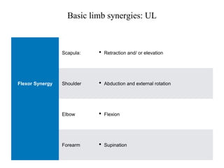 Basic limb synergies: UL
Scapula: • Retraction and/ or elevation
Flexor Synergy Shoulder • Abduction and external rotation
Elbow • Flexion
Forearm • Supination
 
