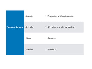 Scapula • Protraction and/ or depression
Extensor Synergy Shoulder • Adduction and internal rotation
Elbow • Extension
Forearm • Pronation
 