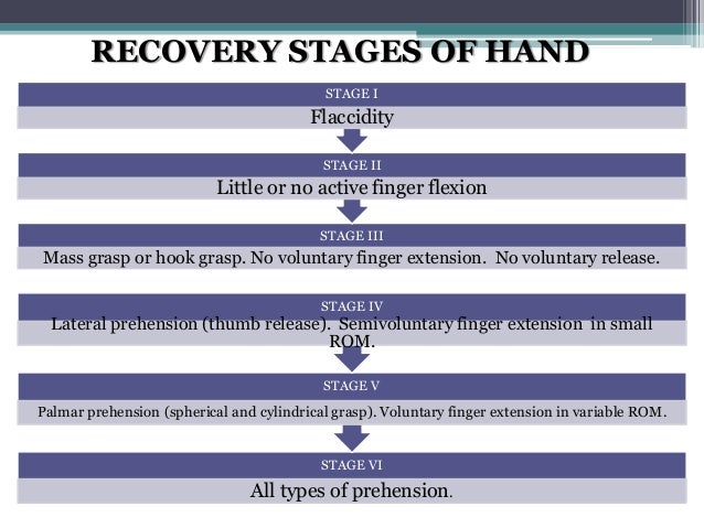 12 Stages Of Healing Pdf