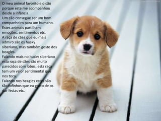 O meu animal favorito e o cão
porque este me acompanhou
desde a infância.
Um cão consegue ser um bom
companheiro para um humano.
Estes animais partilham
emoções, sentimentos etc.
A raça de cães que eu mais
admiro são os husky
siberiano, mas também gosto dos
beagles.
Falando mais no husky siberiano
esta raça de cães são muito
parecidos com lobos, esta raça
tem um valor sentimental que
nos toca.
Falando nos beagles estes são
tão fofinhos que eu gosto de os
dar festas etc.
 