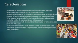 Características
La pesca es una actividad muy importante, como también lo es la producción
camaronera, que en los últimos años ha cobrado gran impulso.
La gastronomía guayasense es conocida por la excelente calidad de sus pescados y
mariscos, por la gran variedad hortalizas y vegetales, y por sus deliciosas frutas.
En las fiestas se cantan o recitan los amorfinos, es decir versos dedicados a las
muchachas bonitas. Se acompañan de una vigüela o guitarra.
La Pelea de Gallos es una de las costumbres más arraigadas en varios cantones de
la Provincia del Guayas.
La influencia de las corrientes fría de Humboldt y cálida de El Niño, hacen que el
clima sea de tipo tropical sabana y tropical monzón, con elevadas temperaturas en
buena parte del año.
 