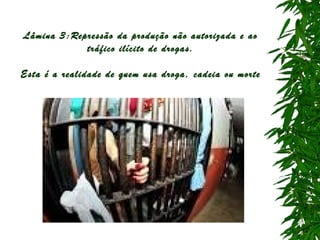 Lâmina 3:Repressão da produção não autorizada e ao
tráfico ilícito de drogas.
Esta é a realidade de quem usa droga, cadeia ou morte

 