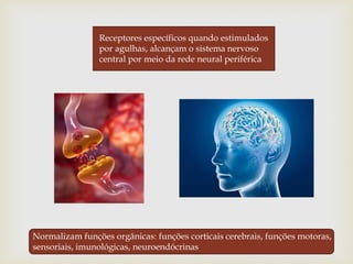 Receptores específicos quando estimulados
por agulhas, alcançam o sistema nervoso
central por meio da rede neural periférica
Normalizam funções orgânicas: funções corticais cerebrais, funções motoras,
sensoriais, imunológicas, neuroendócrinas
 
