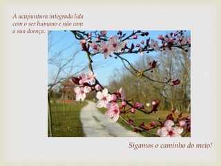 Sigamos o caminho do meio!
A acupuntura integrada lida
com o ser humano e não com
a sua doença.
 
