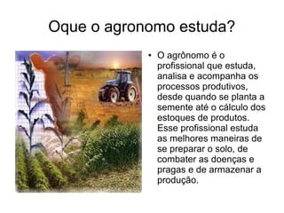 Oque o agronomo estuda?
● O agrônomo é o
profissional que estuda,
analisa e acompanha os
processos produtivos,
desde quando se planta a
semente até o cálculo dos
estoques de produtos.
Esse profissional estuda
as melhores maneiras de
se preparar o solo, de
combater as doenças e
pragas e de armazenar a
produção.
 